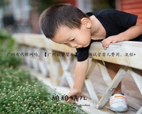 广州有代怀网吗，【广州试管婴儿】广州做试管婴儿费用、流程 