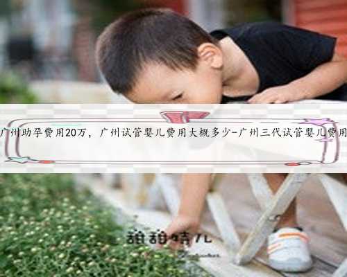 广州助孕费用20万，广州试管婴儿费用大概多少-广州三代试管婴儿费用