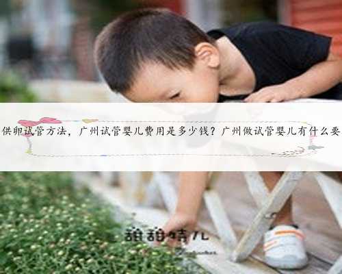广州供卵试管方法，广州试管婴儿费用是多少钱？广州做试管婴儿有什么要求？