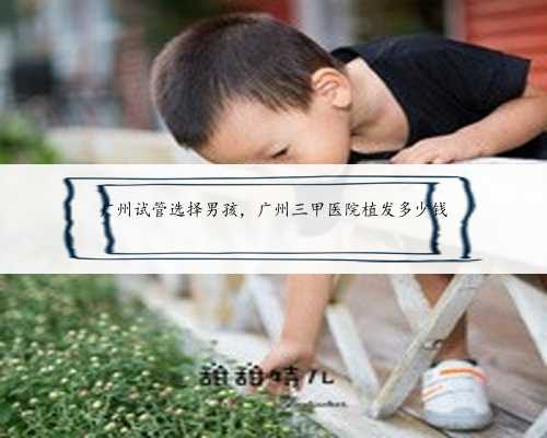 广州试管选择男孩，广州三甲医院植发多少钱