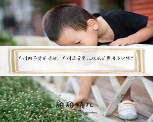 广州助孕费用明细，广州试管婴儿双胞胎费用多少钱？