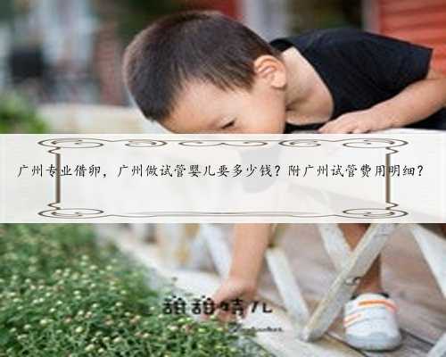 广州专业借卵，广州做试管婴儿要多少钱？附广州试管费用明细？