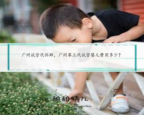广州试管代怀群，广州第三代试管婴儿费用多少？