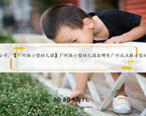 广州孕妈妈公司，【广州微小型幼儿园】广州微小型幼儿园在哪有广州试点微小