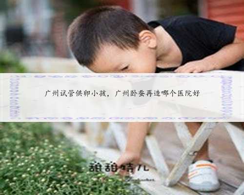 广州试管供卵小孩，广州卧蚕再造哪个医院好