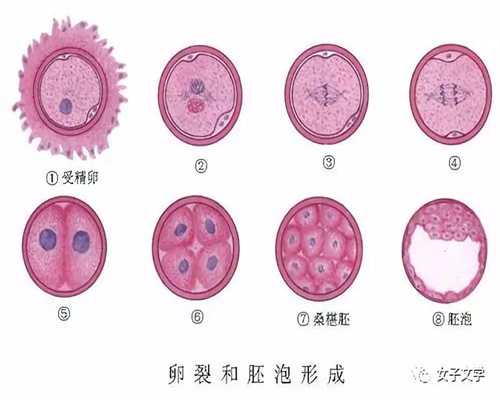 广州哪家助孕中心好：12岁女童和142管高鹰代孕妇血背