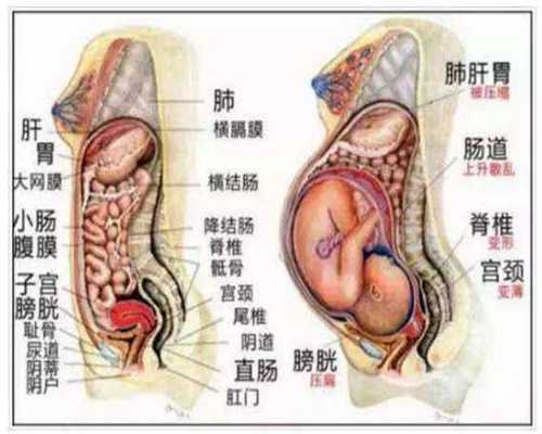 广州试管助孕成功率高吗：广州高鹰代孕产子价格：