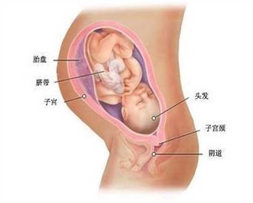 广州高鹰代孕村：一日三餐，胃癌患者究竟可以吃什