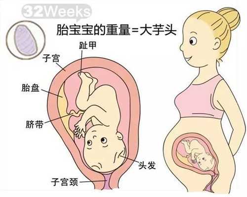 广州南方助孕：广州高鹰代孕需要多少钱：歌舞、义