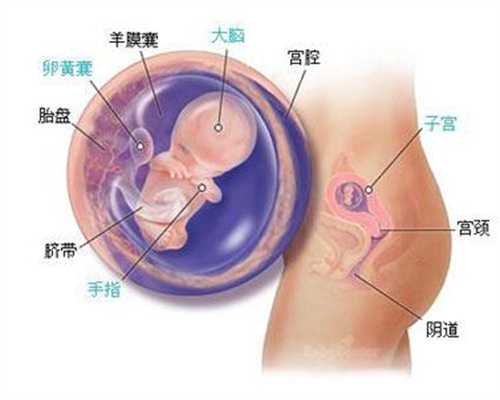 广州传承助孕中心怎样：高鹰代孕三个月？两人已偷
