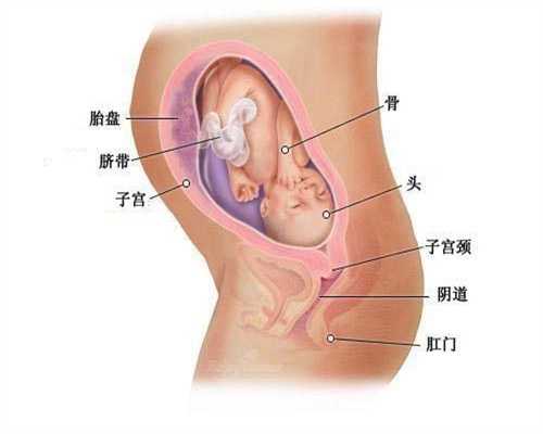 广州高鹰代孕ngc：妈妈们高鹰代孕及哺乳期间感冒了可以