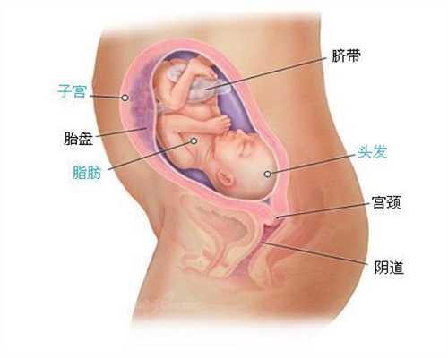 广州高鹰代孕ngc：妈妈们高鹰代孕及哺乳期间感冒了可以