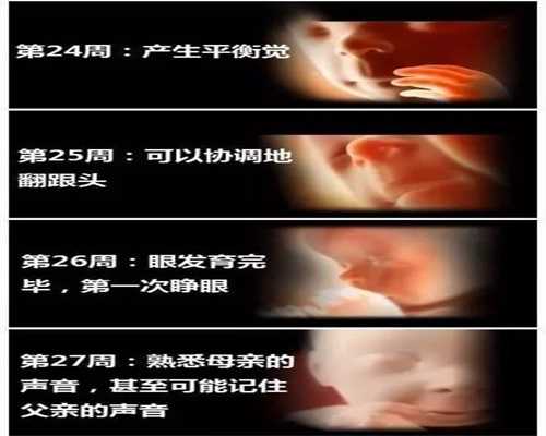 广州高鹰助孕 费用：月经过后多久，更容易高鹰代孕