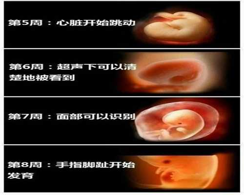 深圳高鹰代孕机构：男性最低几岁能让女性高鹰代孕？这