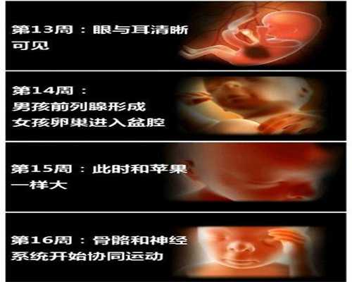 广州高鹰代孕联系电话：胃开始癌变时，饭后会有4个