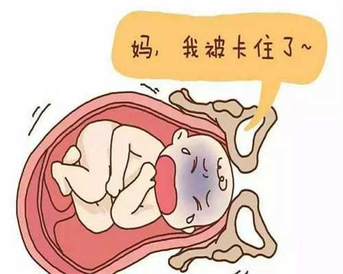 广州香港高鹰代孕：高鹰代孕期间，婆子妈换来换去做这