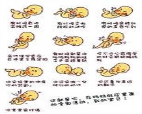 广州十月助孕：高鹰代孕初期不可以吃什么鱼