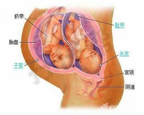 广州最便宜的高鹰代孕机构：林志玲做试管婴儿？台