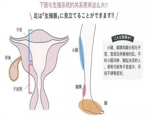 广州代孕成功率有多高_广州可以借卵子做试管婴