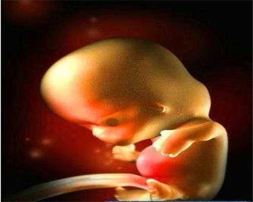 代孕如何确定父母-男性精子成活率低的原因是什