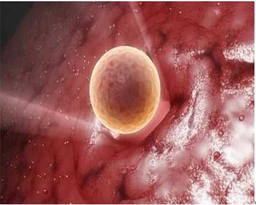 成功代孕方案，精子畸形会影响生育吗