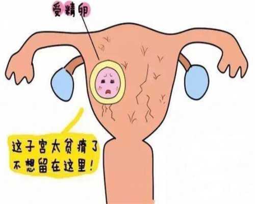 广州借卵生子孩子会像谁-广州东骏国际助孕中心