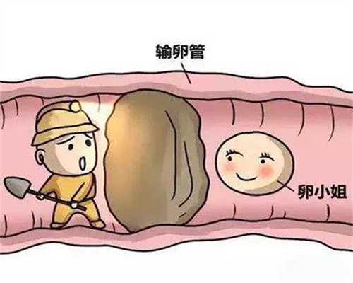 广州宝贝计划国际试管～排卵障碍可能治愈吗～