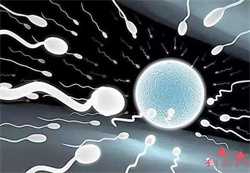 山东高龄捐卵自孕,山大生殖供卵试管要登记吗？供卵试管要登记什么？