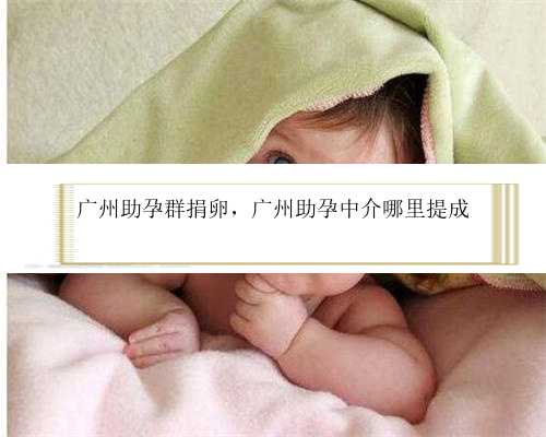 广州助孕群捐卵，广州助孕中介哪里提成