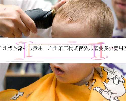 广州代孕流程与费用，广州第三代试管婴儿需要多少费用？