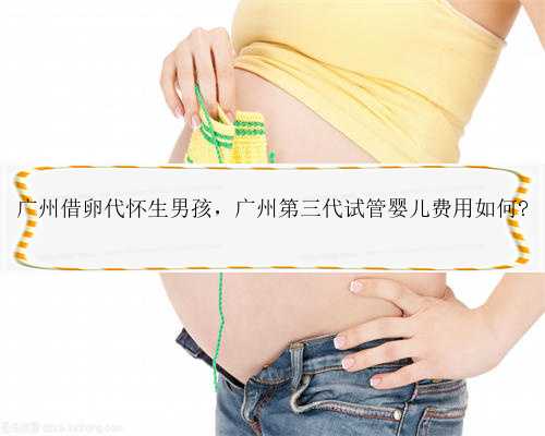 广州借卵代怀生男孩，广州第三代试管婴儿费用如何?