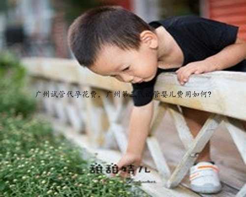 广州试管代孕花费，广州第三代试管婴儿费用如何?