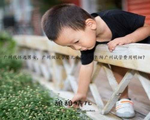 广州代怀选男女，广州做试管婴儿要多少钱？附广州试管费用明细？