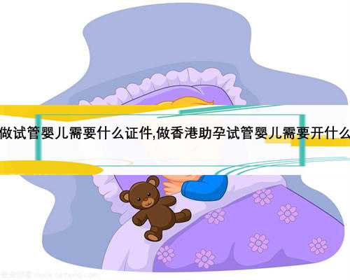 香港做试管婴儿需要什么证件,做香港助孕试管婴儿需要开什么证明
